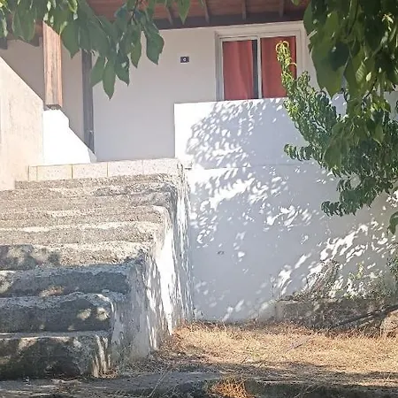 Theodora's House